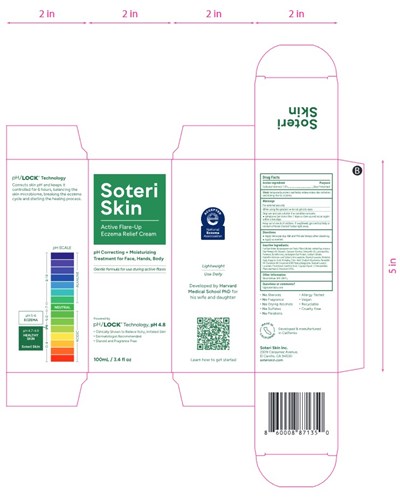 Carton (Soteri Skin Active Flare Up Unit Carton Pdp)